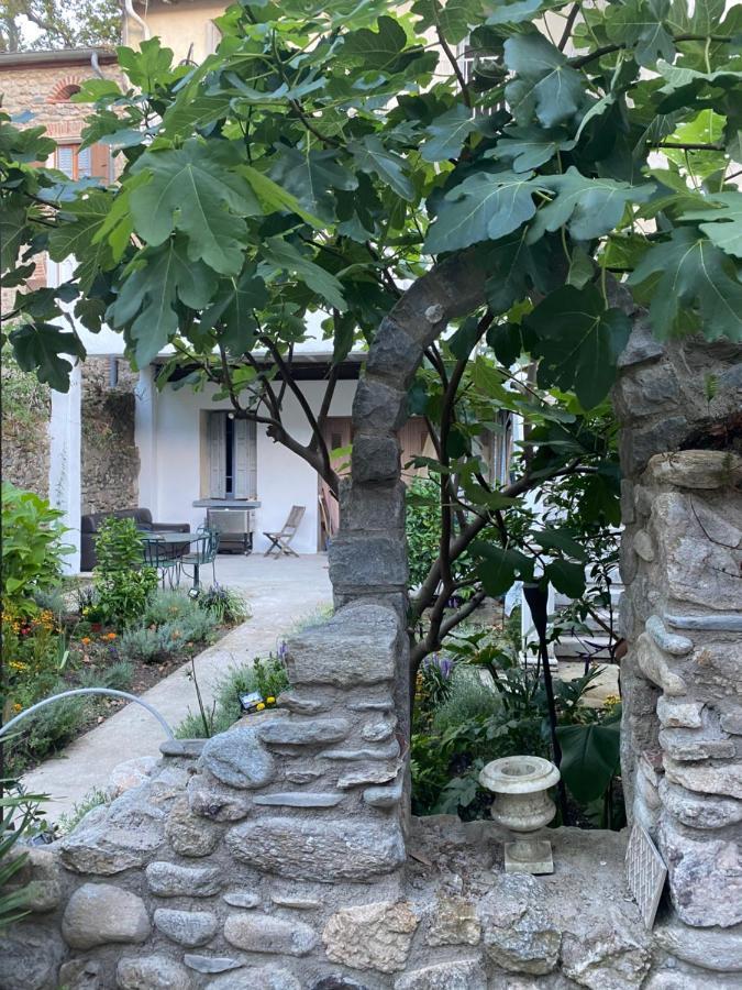 Sculptors Retreat Apartman Céret Kültér fotó